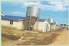 民威（民生）喂料系統(tǒng)